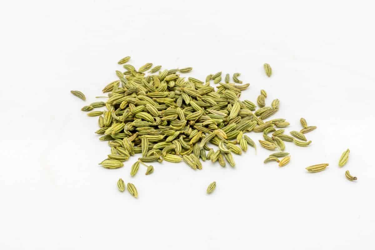 close up of fennel seeds