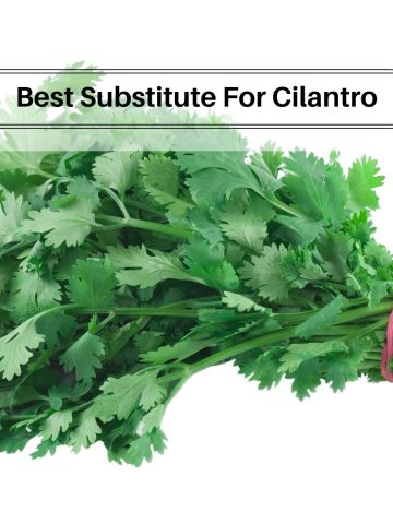 click of cilantro pack.