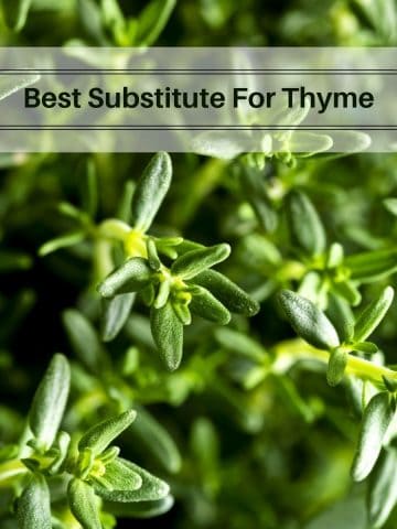 close up of thyme with the text "substitute for thyme".