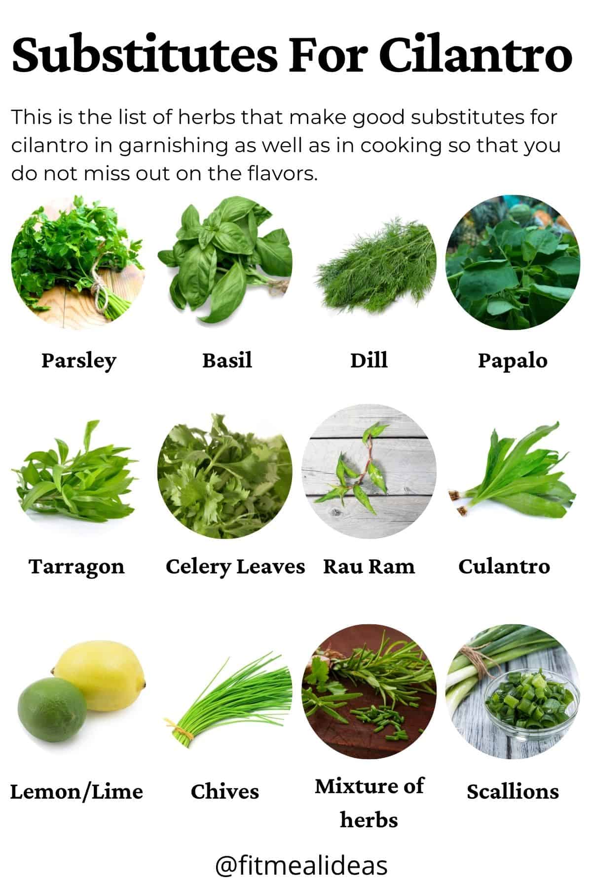 infographic for substitutes for cilantro