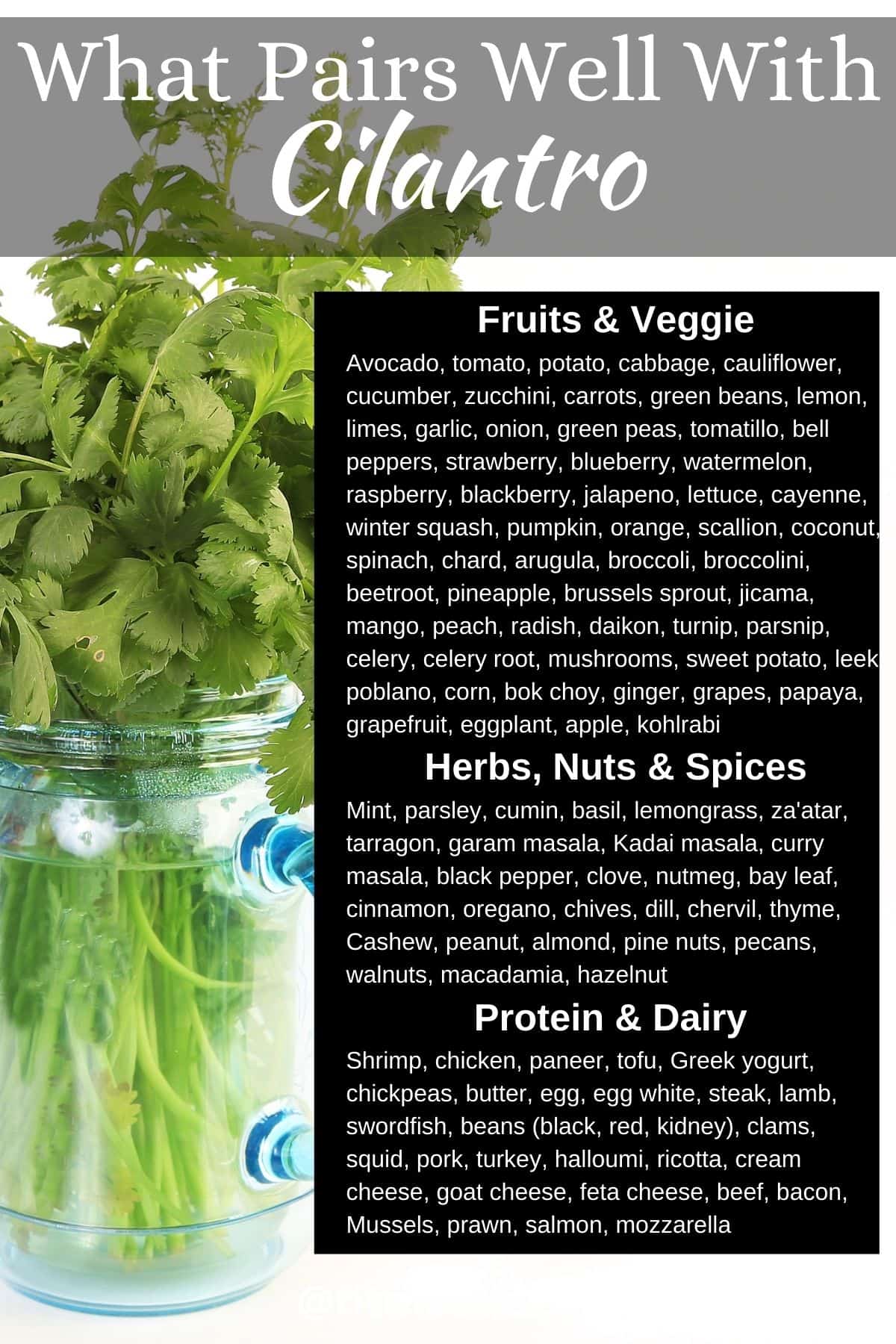 infographic of cilantro showing what flavors pair well with it.