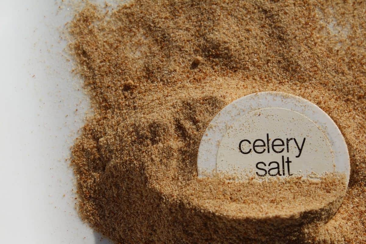 celery salt image