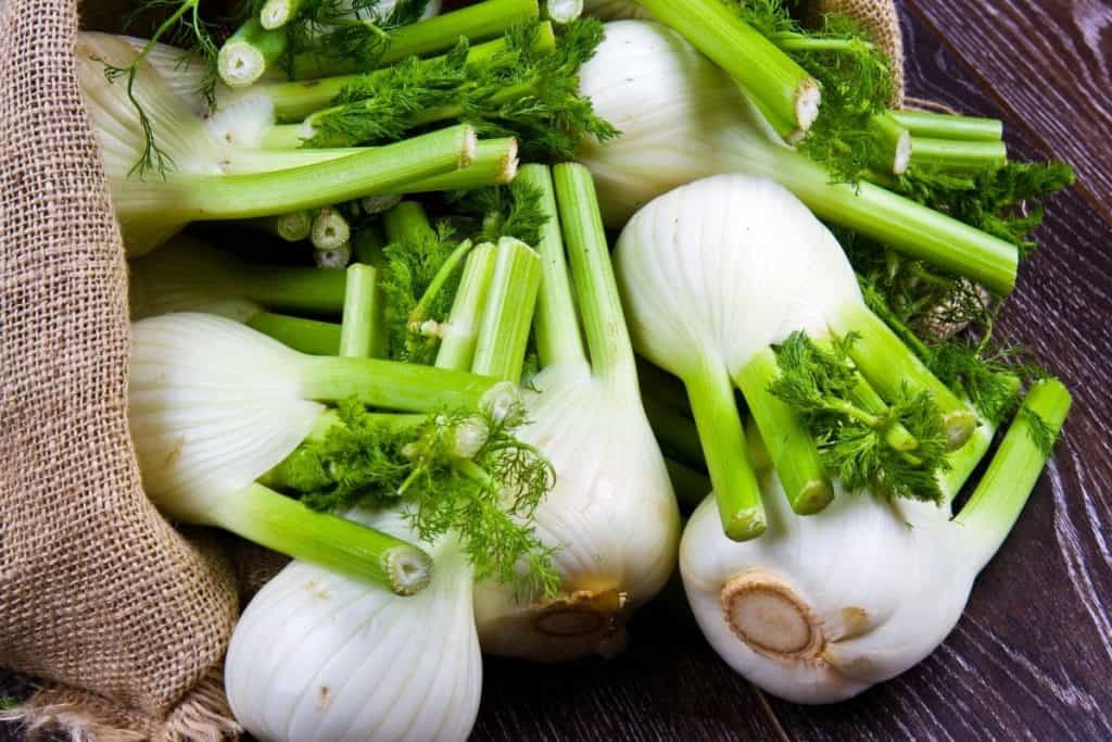 18 Best Celery Substitute For Soups, Salads, And Stuffing Fit Meal Ideas