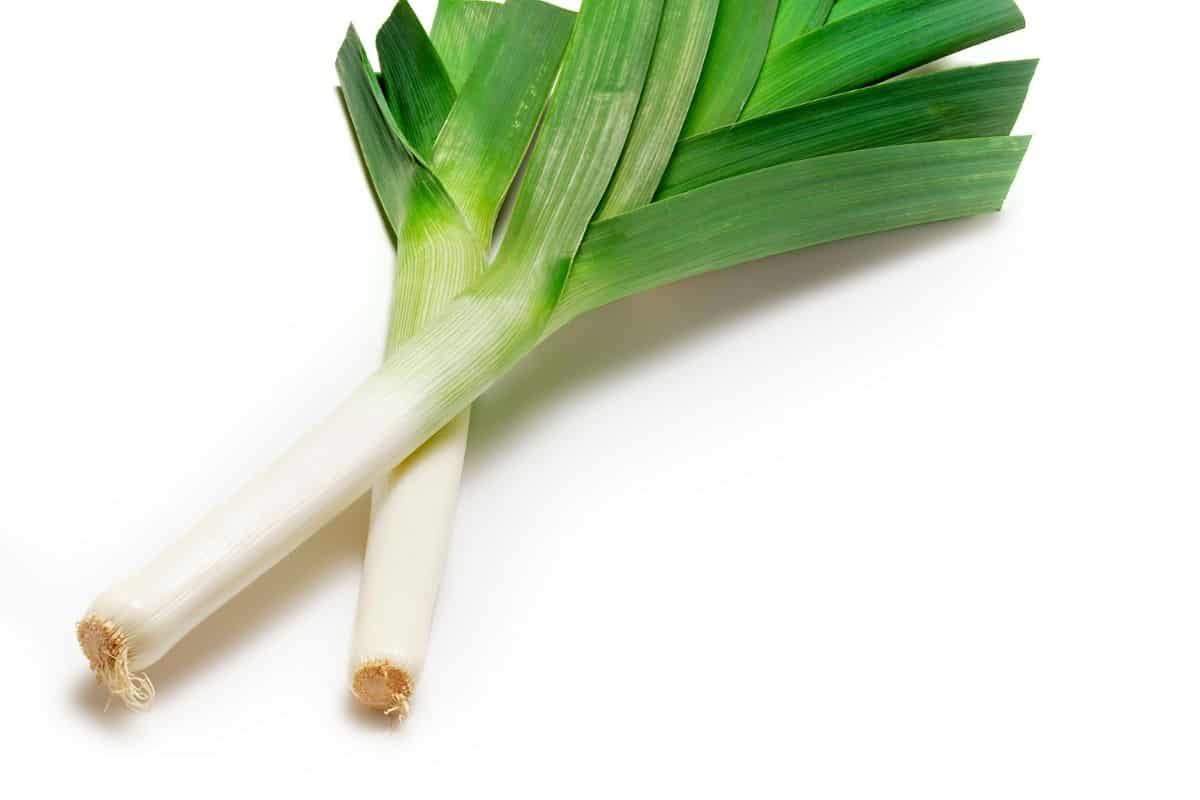 leek image with green part