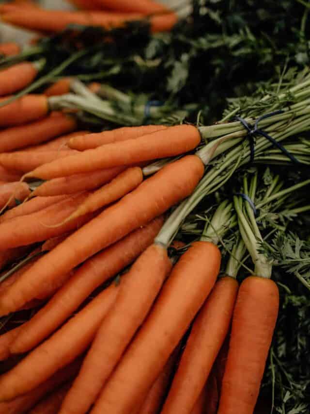 What goes well with Carrots?